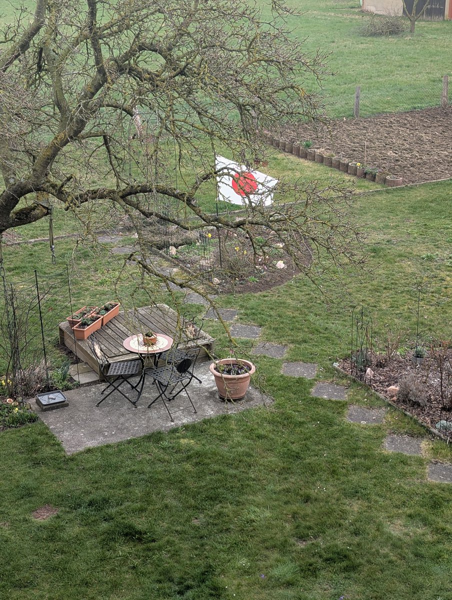 🇩🇪の庭にはためく🇯🇵