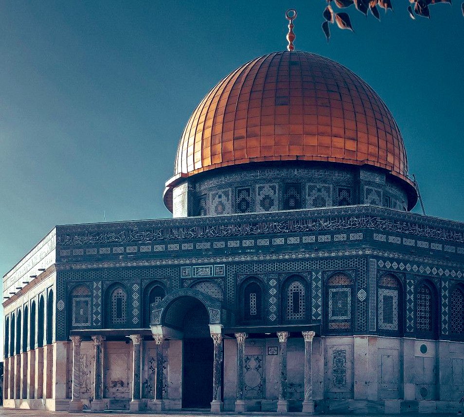 🥷🇵🇸 tweet media