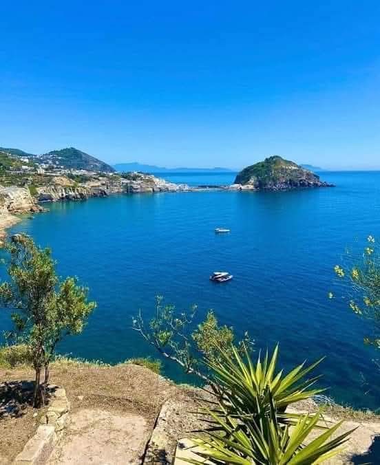 Patrizia💙 tweet media