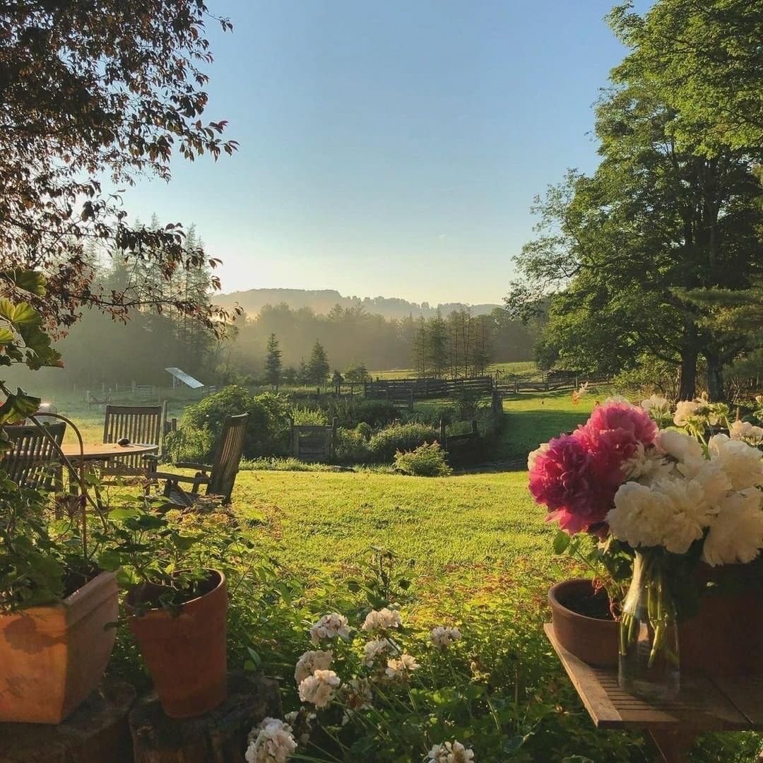 𝕵𝖆𝖓𝖊 tweet media