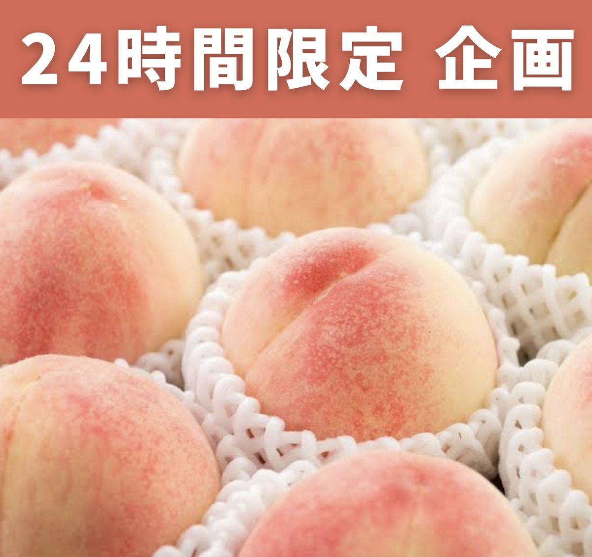 【24時間限定チャレンジ🍑】
フォロー&amp;この投稿をいいねで、ももの日の桃2.8kgを2名様にあげます。3/21 18:20締切。