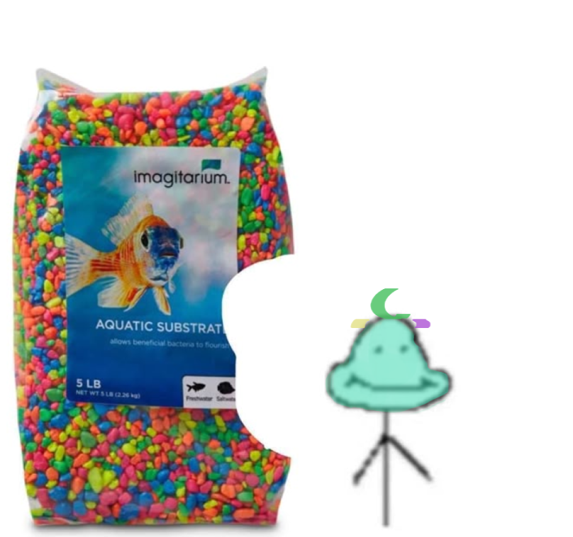 Neema 🩵🏝️ tweet media