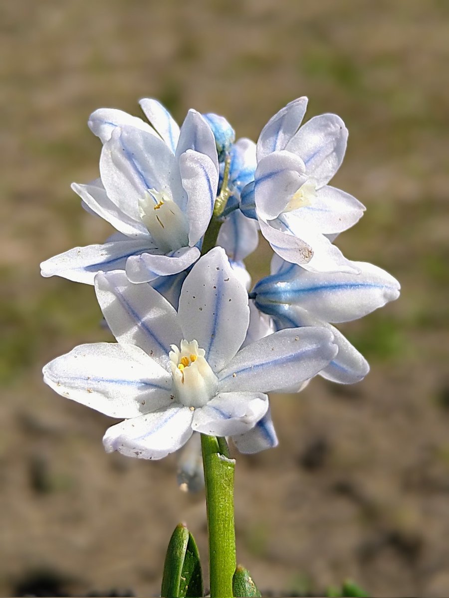 愛　子 tweet media