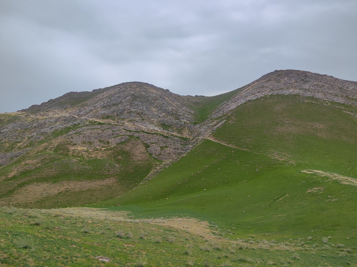 Yusuf S🇺🇿 tweet media