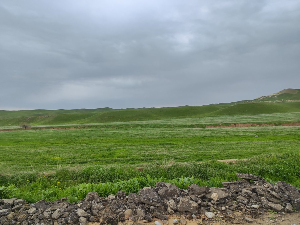 Yusuf S🇺🇿 tweet media