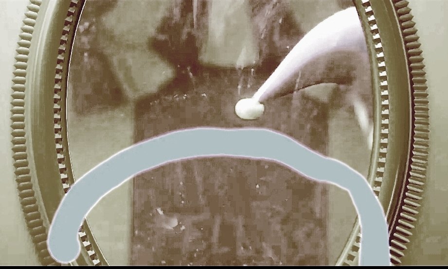 SkYvLoP Evergreen tweet media