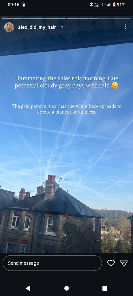 Daddy Badger tweet media