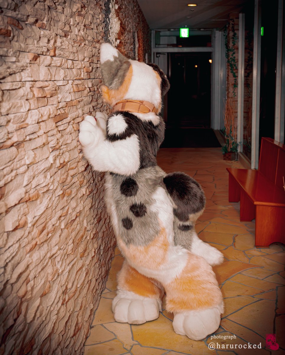 はるかぜ tweet media