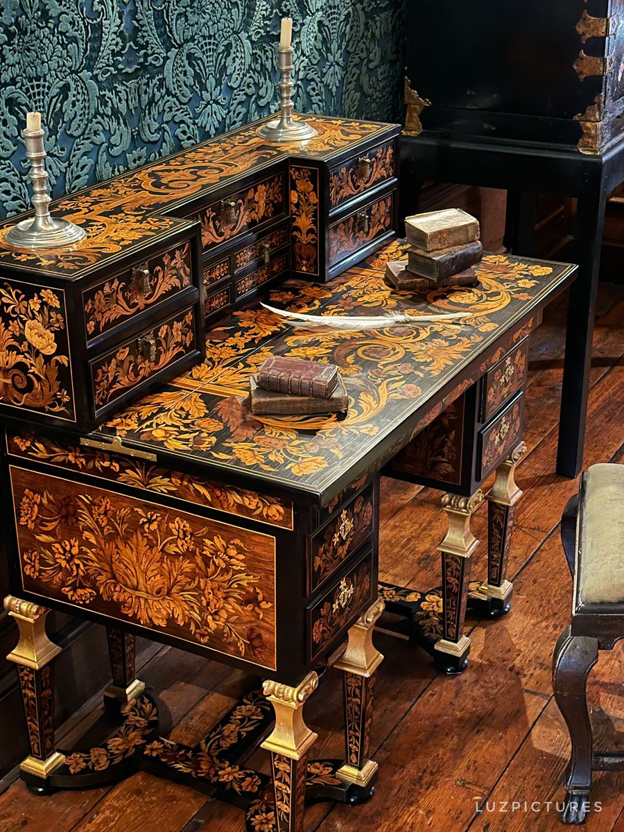 LuzPictures tweet media