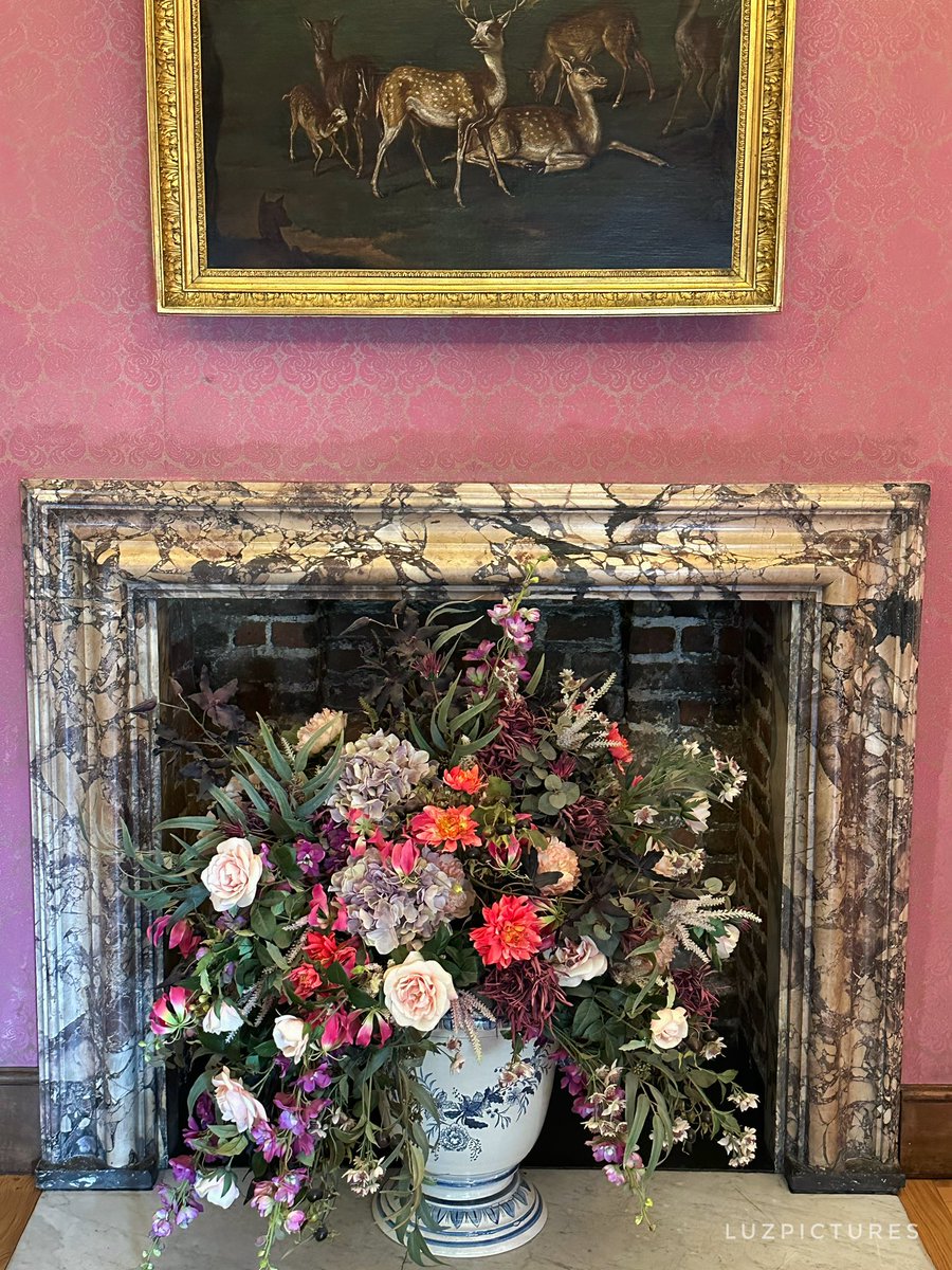 LuzPictures tweet media