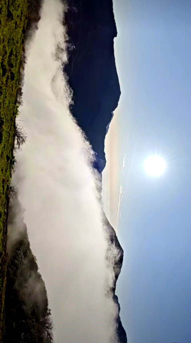 mahan ramos tweet media