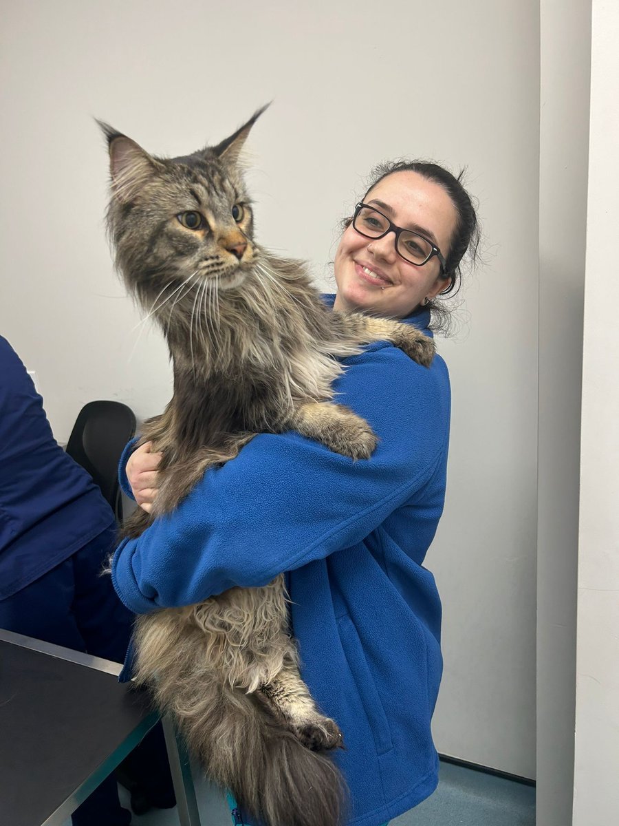 St Kitts Veterinary Group tweet media