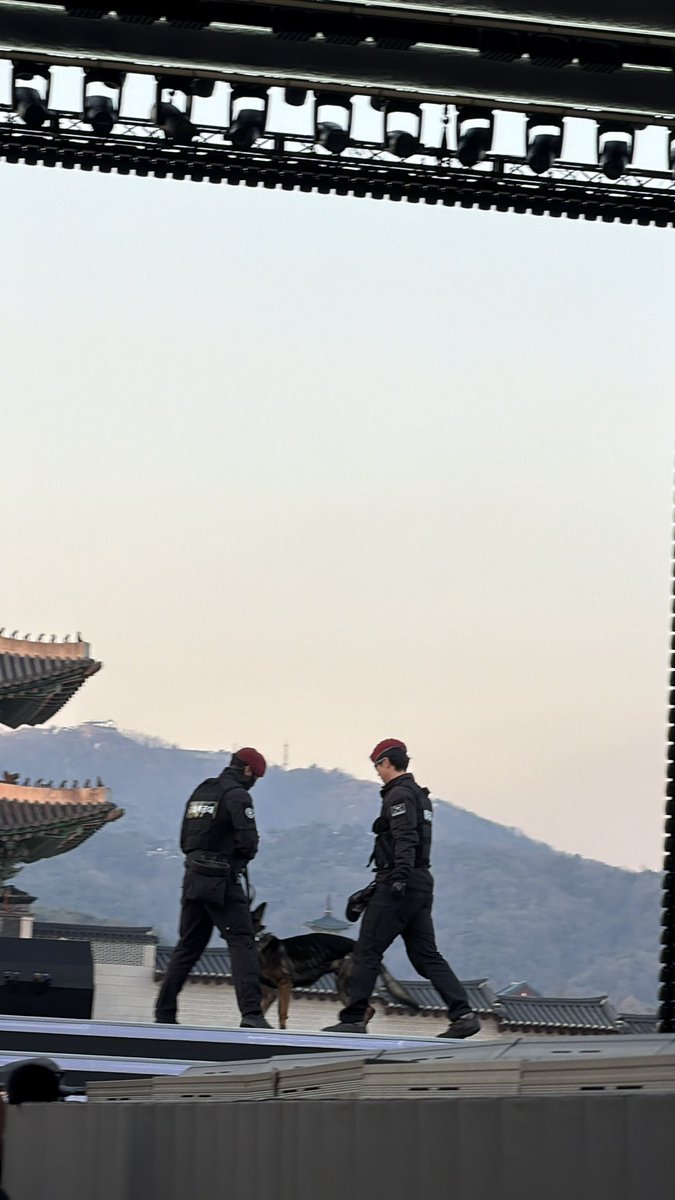 Lalalilac 🌷 tweet media