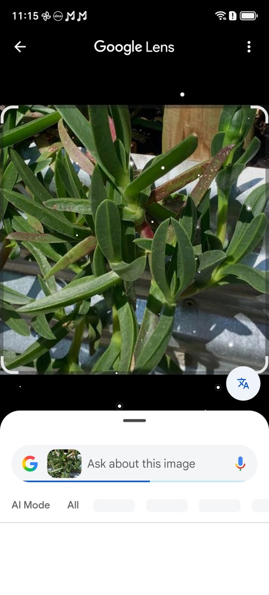 Land Owner tweet media