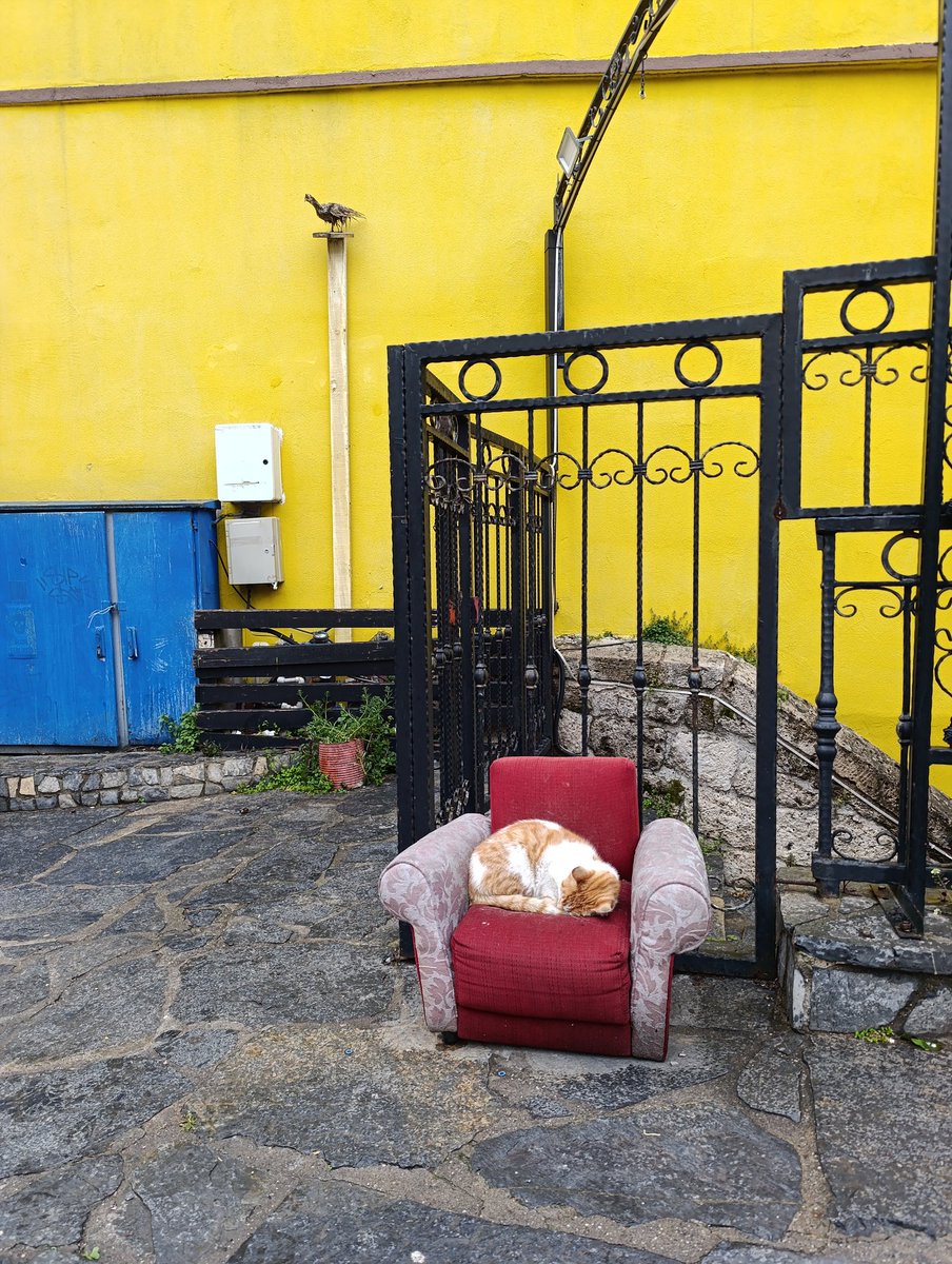 Rengoku Kyojuro tweet media