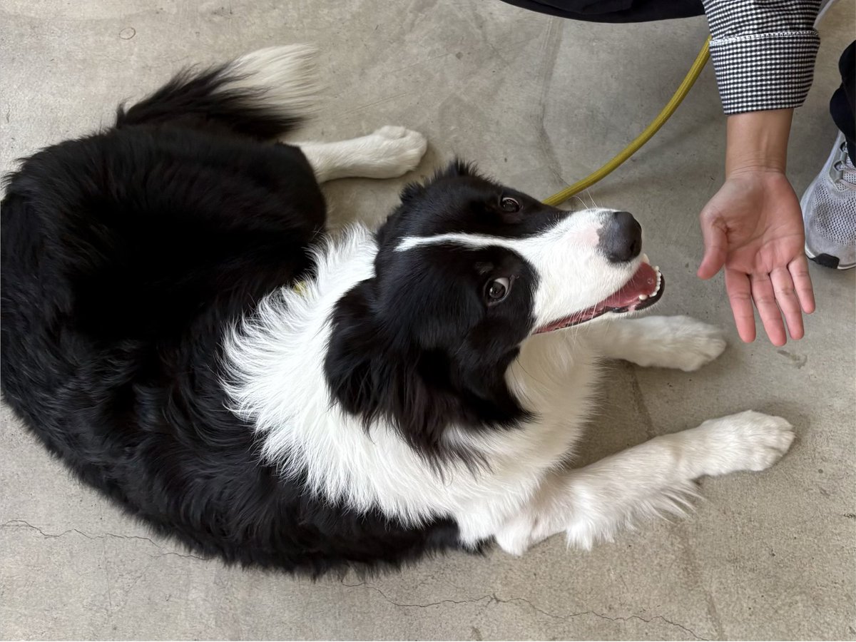 Bbordinary 🍀 tweet media