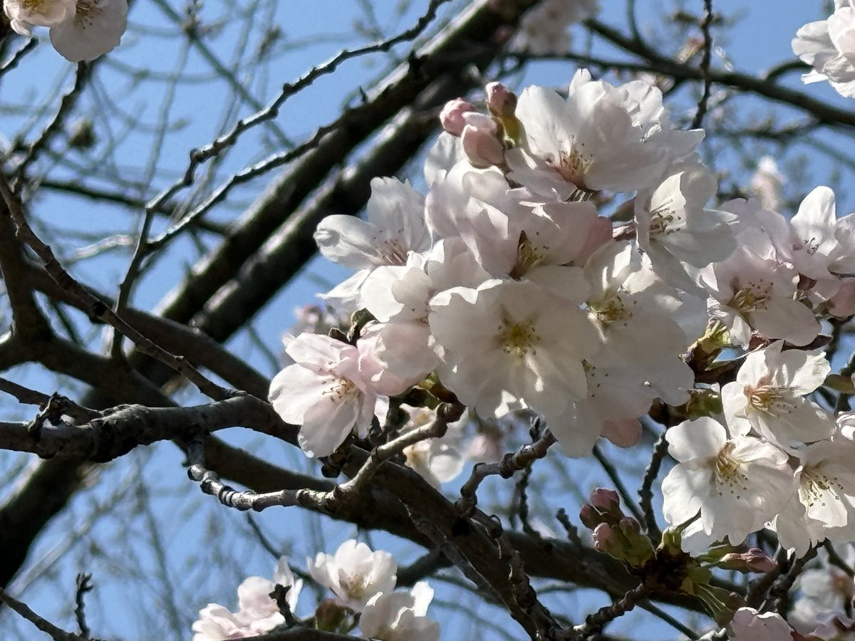 Takumi HASEGAWA (unshift Inc.) tweet media