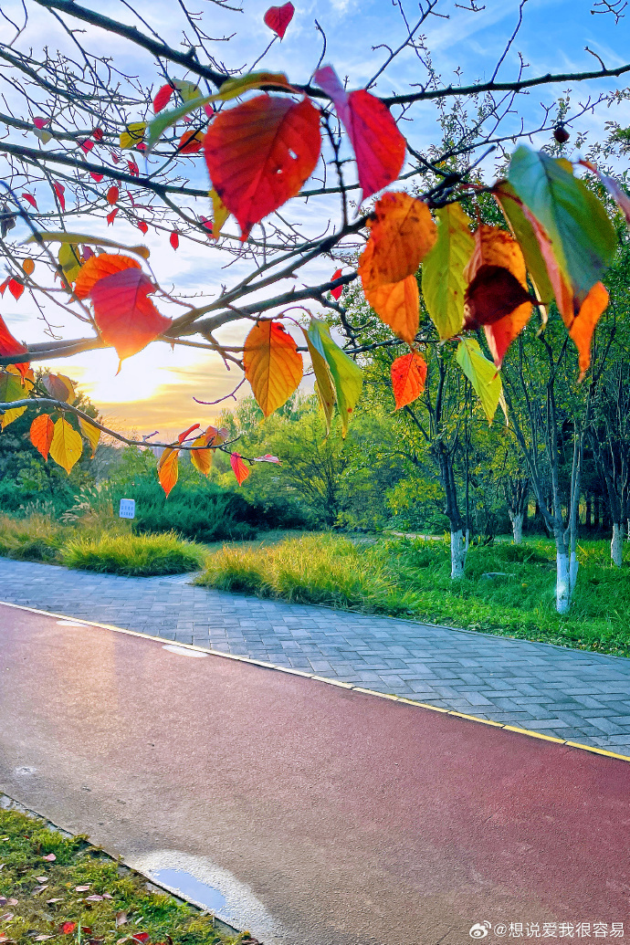 kevin juckt nicht tweet media