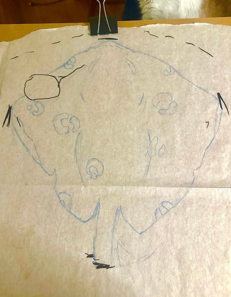 J͎Λ͎Y͎ tweet media