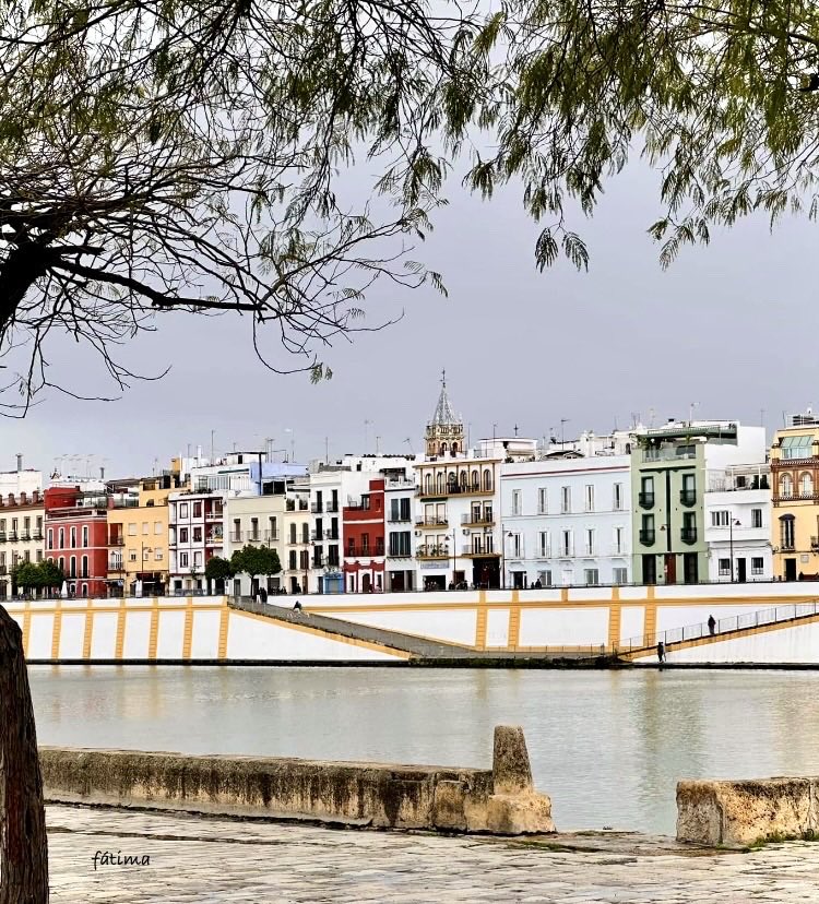 kaótica 🪬 tweet media