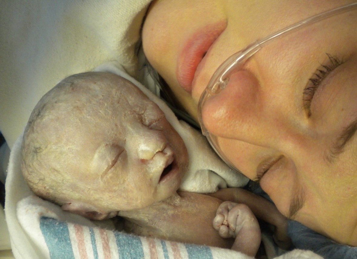 Małgorzata_Tylus tweet media