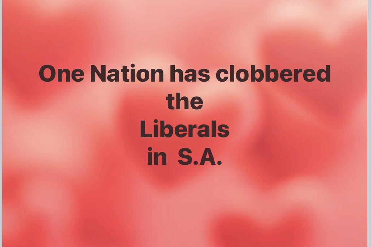 susan mcintosh tweet media