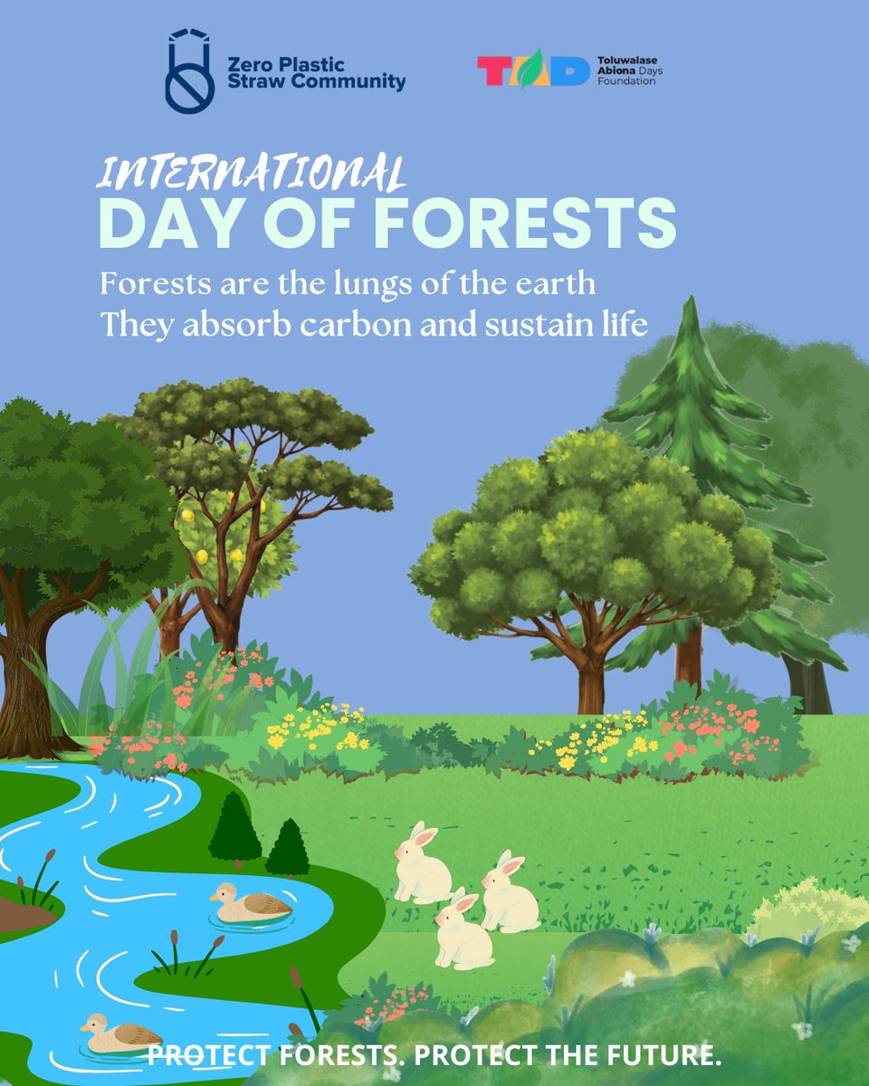 ZPSCommunity's tweet photo. International Day of Forests 2026 🌳
Theme: Forests and Economies

Healthy forests = strong economies = sustainable future.

#InternationalDayOfForests #ForestsAndEconomies #Sustainability #ClimateAction #NatureMatters #ShattawaleJohnlegend https://t.co/Q3otkITe5E