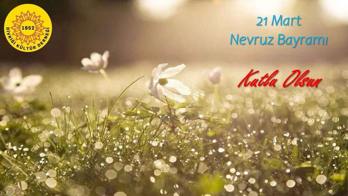 Cihan ERDOĞAN tweet media