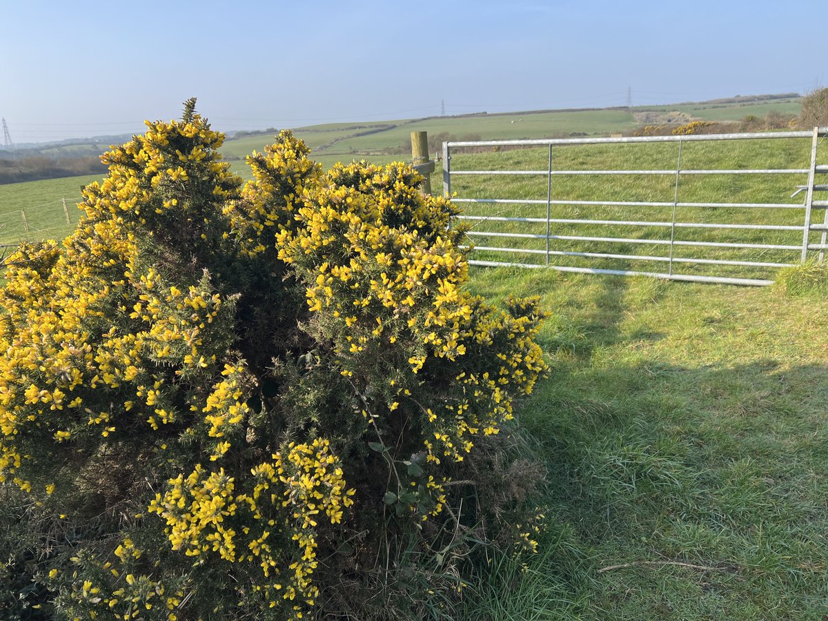 Lee Edwards ⛰🥾🐿️🐝🐈‍⬛🦊 tweet media