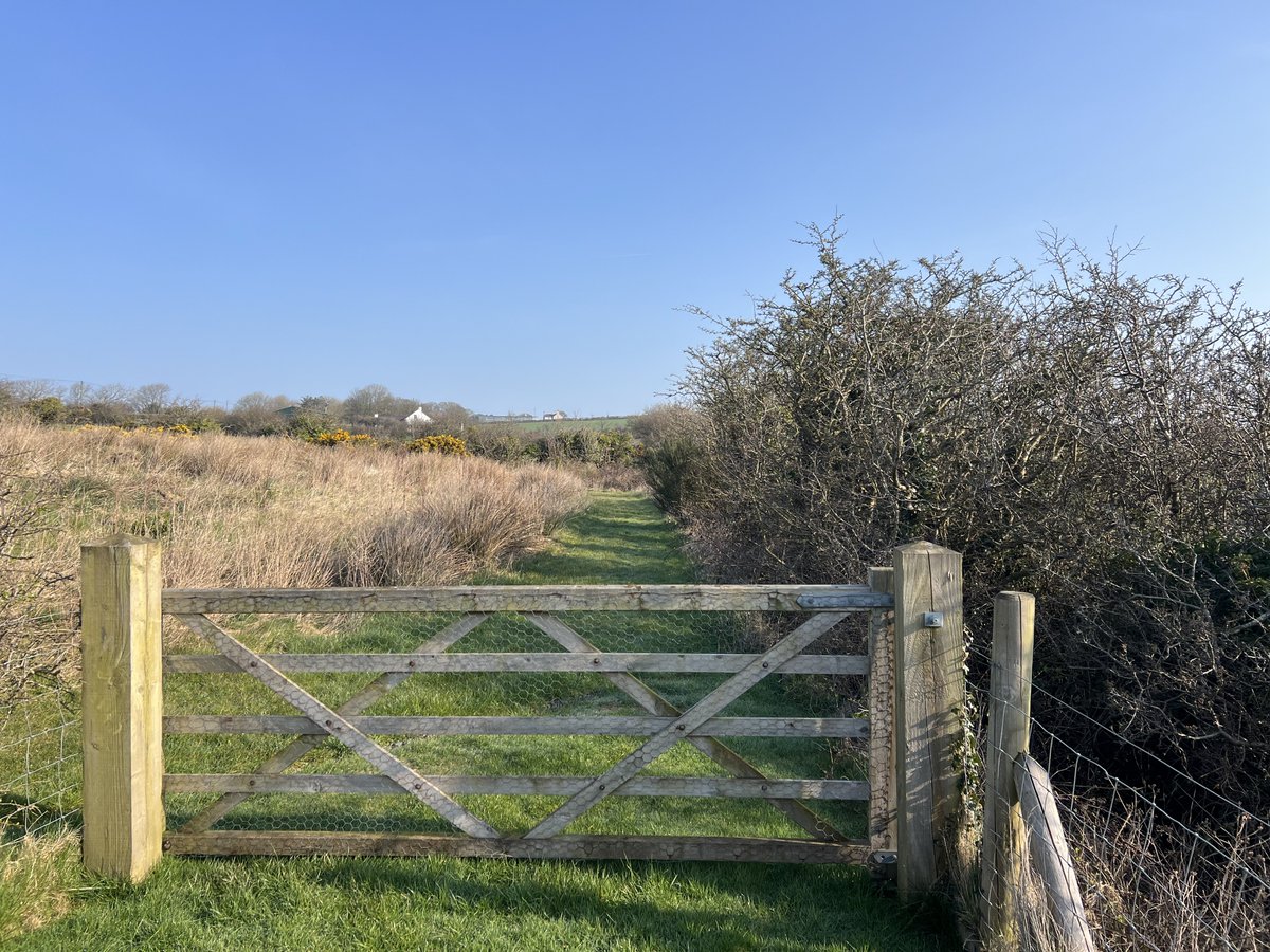 Lee Edwards ⛰🥾🐿️🐝🐈‍⬛🦊 tweet media