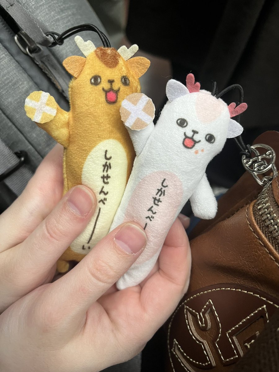 Mio_mama0_0's tweet photo. ロマちゃんが買ってくれた、色違いで付けてる！ https://t.co/diyptxjVzu