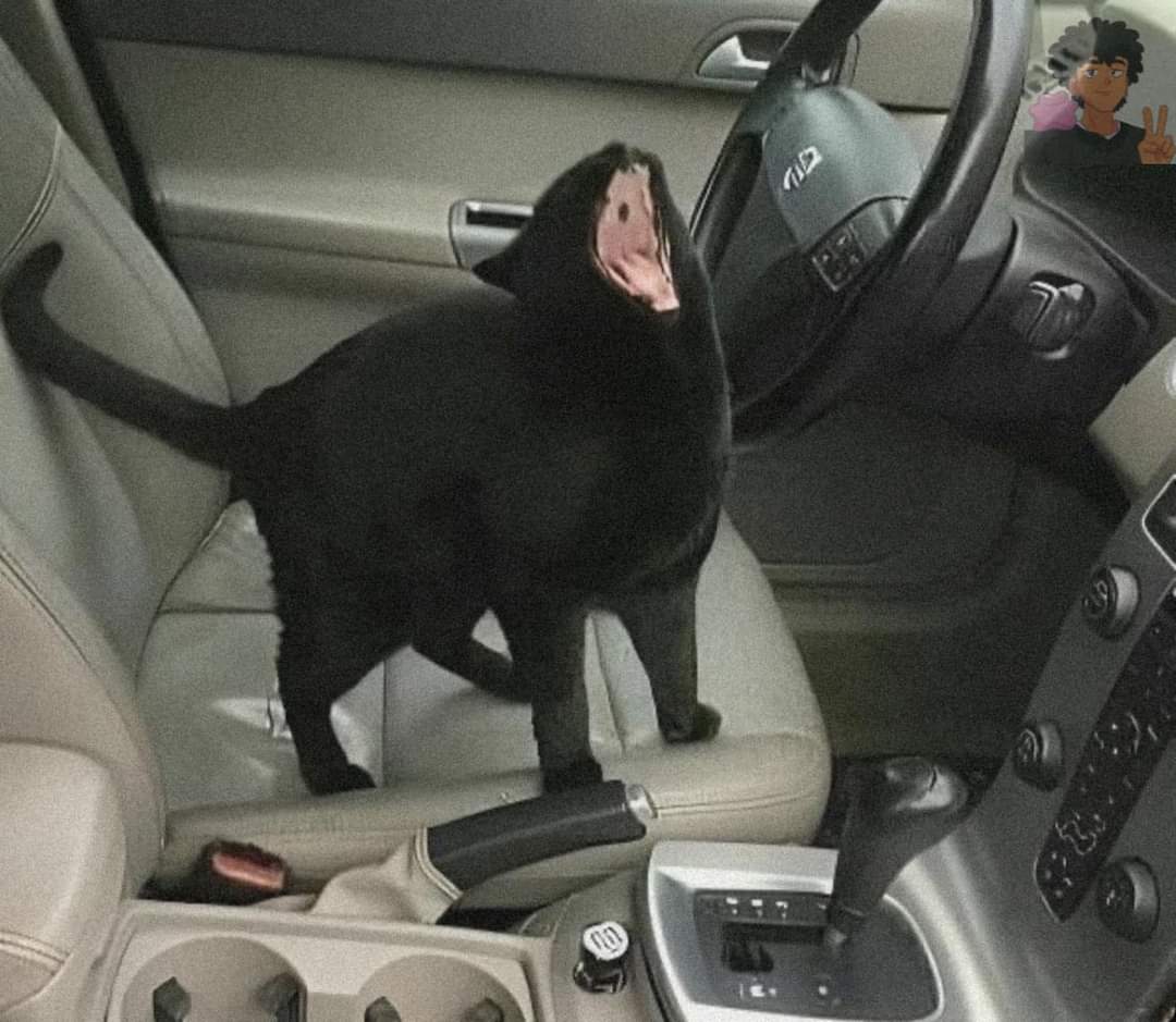 🌸Nèi LÌ🌸 tweet media