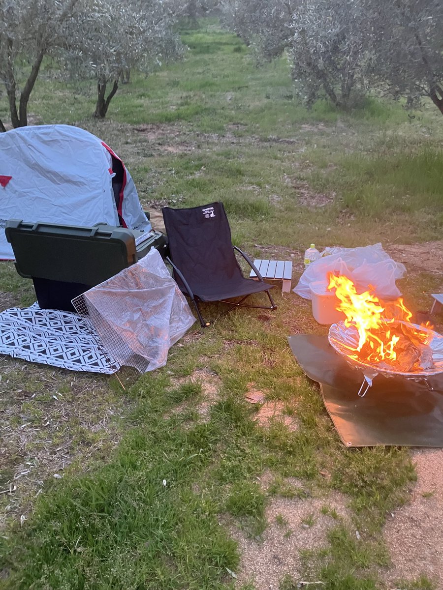 すとへん tweet media