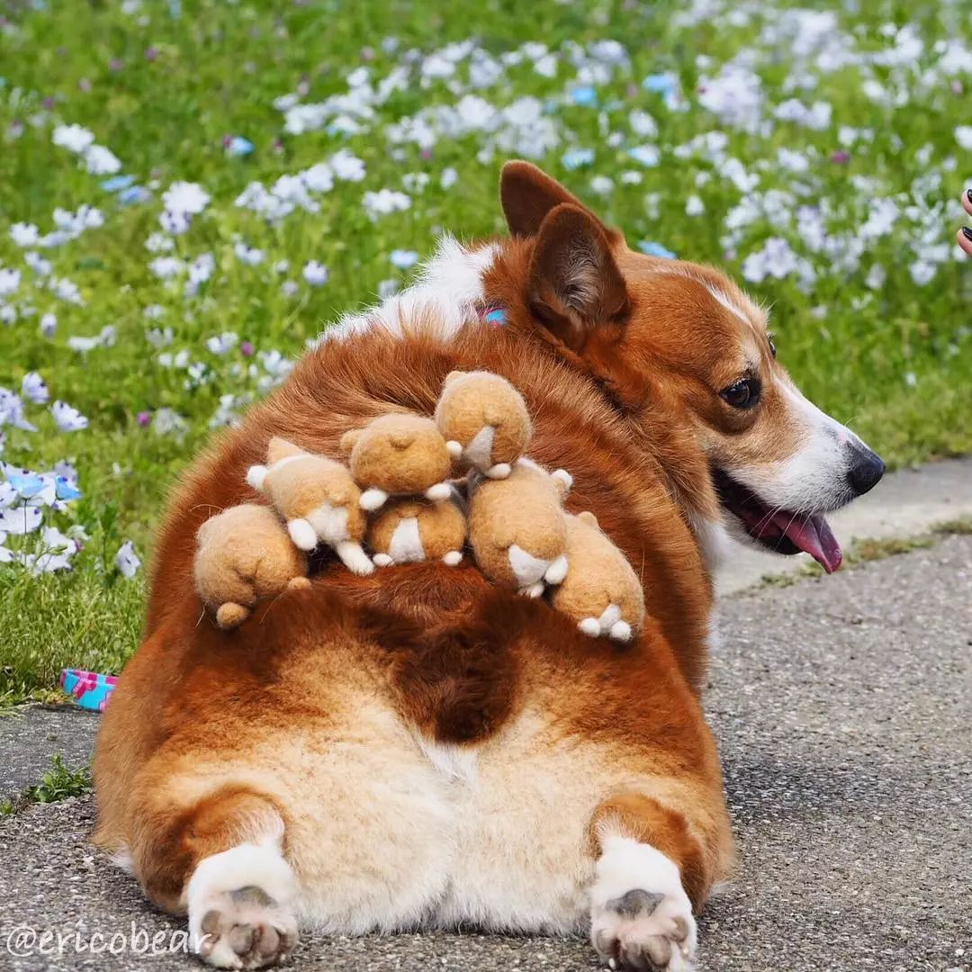 Danny Taylor tweet media