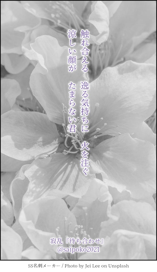 サイポコ tweet media