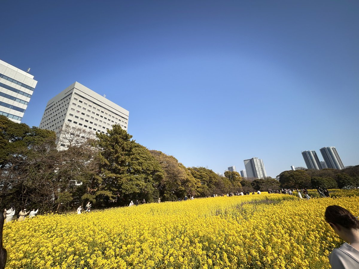 よっかいち tweet media