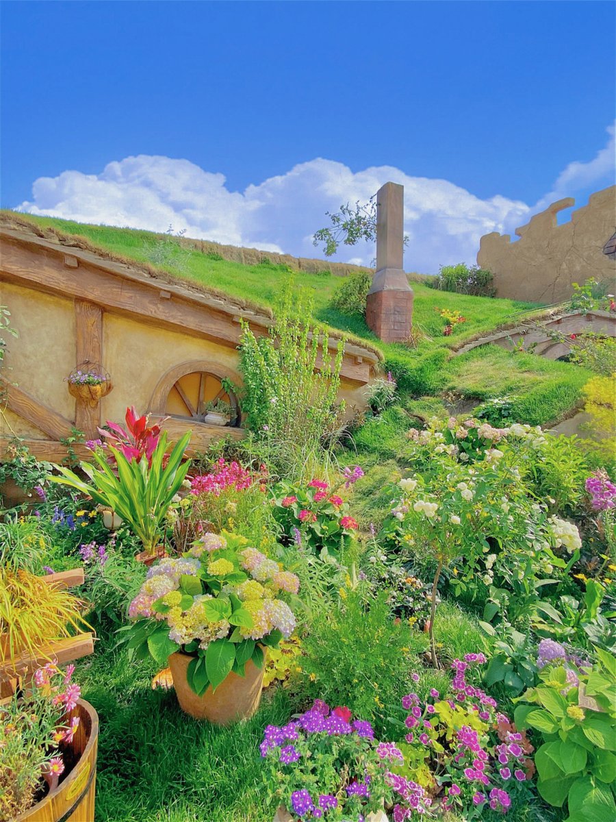 Cacca Gialla tweet media