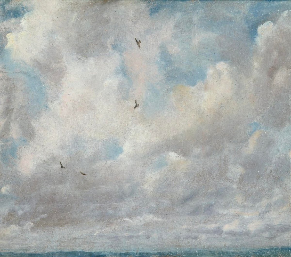 tittiscotti tweet media