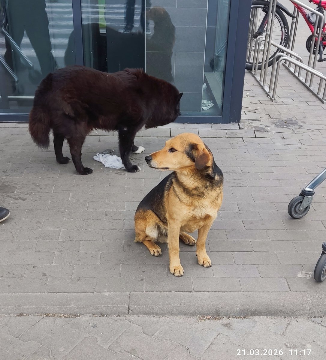 Геннадiй tweet media