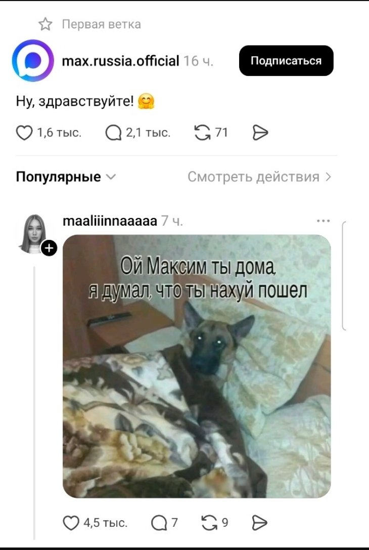 Здесь Шепелин tweet media
