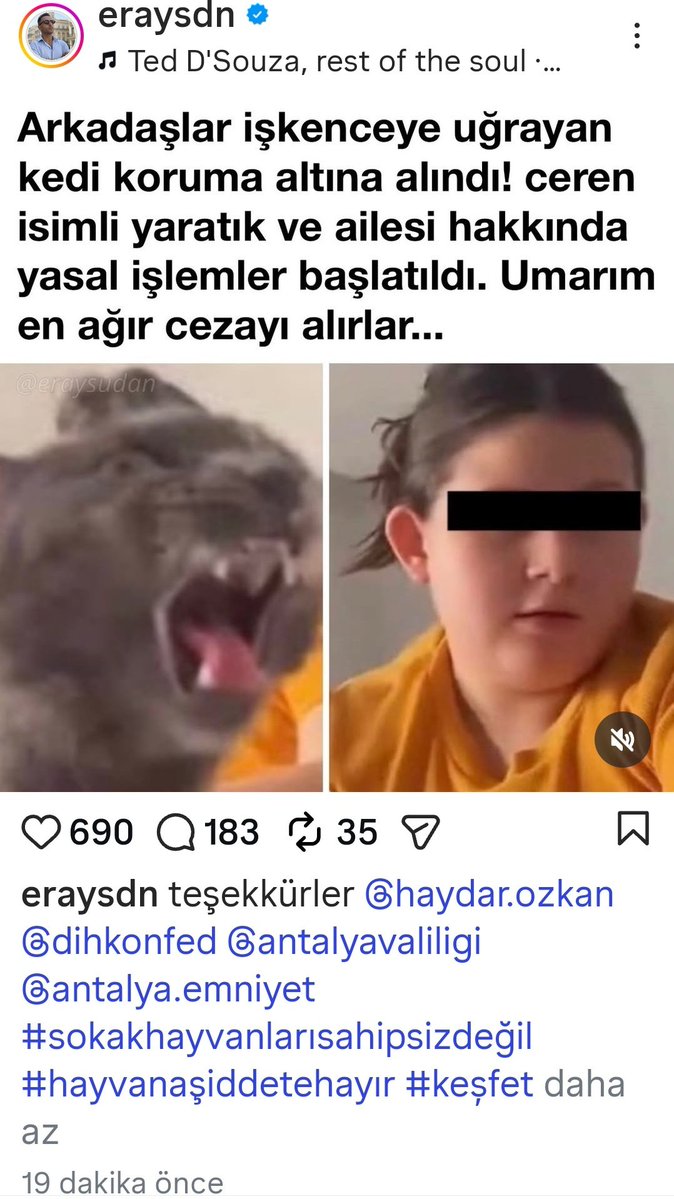 🐈‍⬛🦮Ayşegül Açıkgöz🐕🐈🐈‍⬛ tweet media