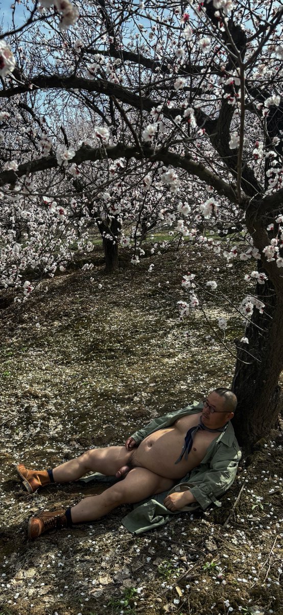 针叶林的世界 tweet media