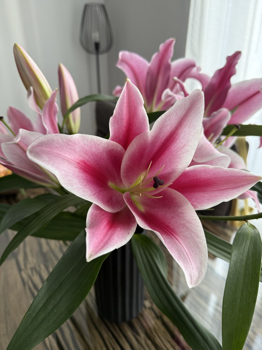 Sana edit yapmak istiyorum ama millennialım mlsf