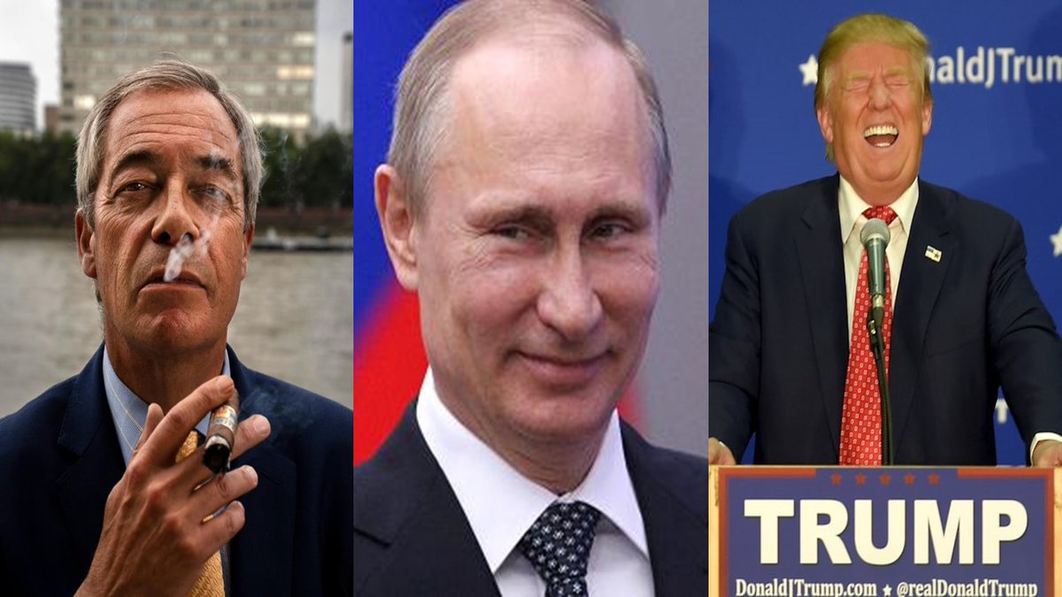 European Unity #FBPE #RejoinEU🇪🇺🇺🇦🇨🇦#NAFO tweet media