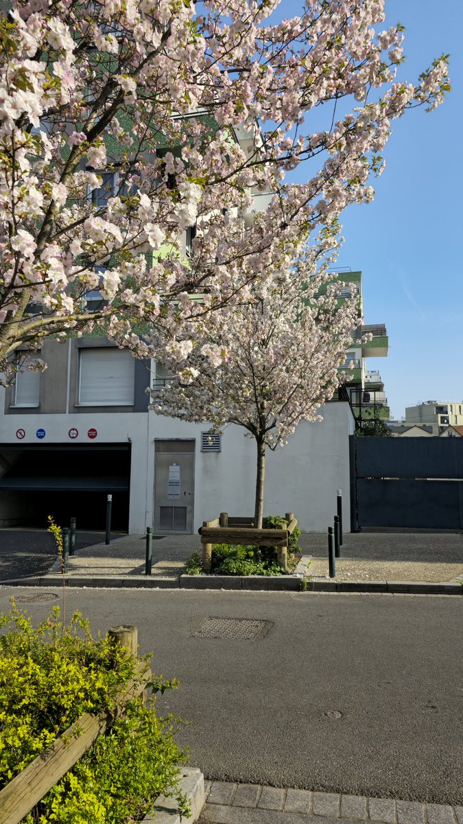 BLG Saitoryu tweet media