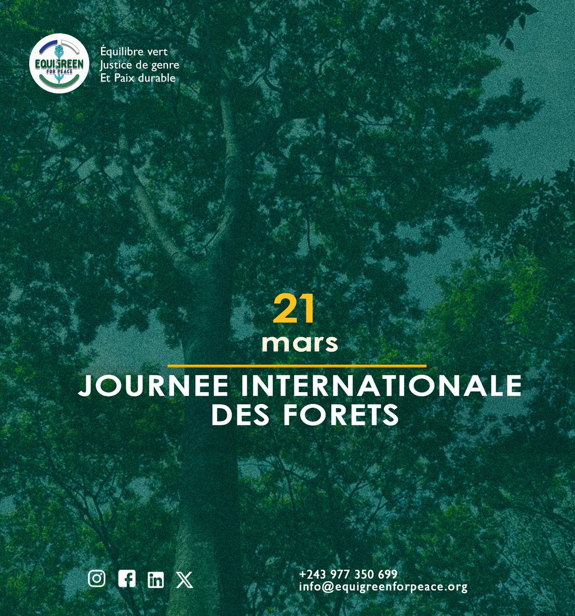 🌳 Les forêts représentent la vie, la résilience et l’avenir de nos communautés. En cette Journée mondiale des forêts, agissons pour des solutions durables et inclusives.
Protéger nos forêts, c’est protéger notre futur. 💚
#journéemondialedesforets #RDC #Climat