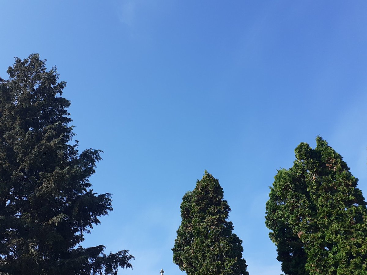 István Tóth tweet media