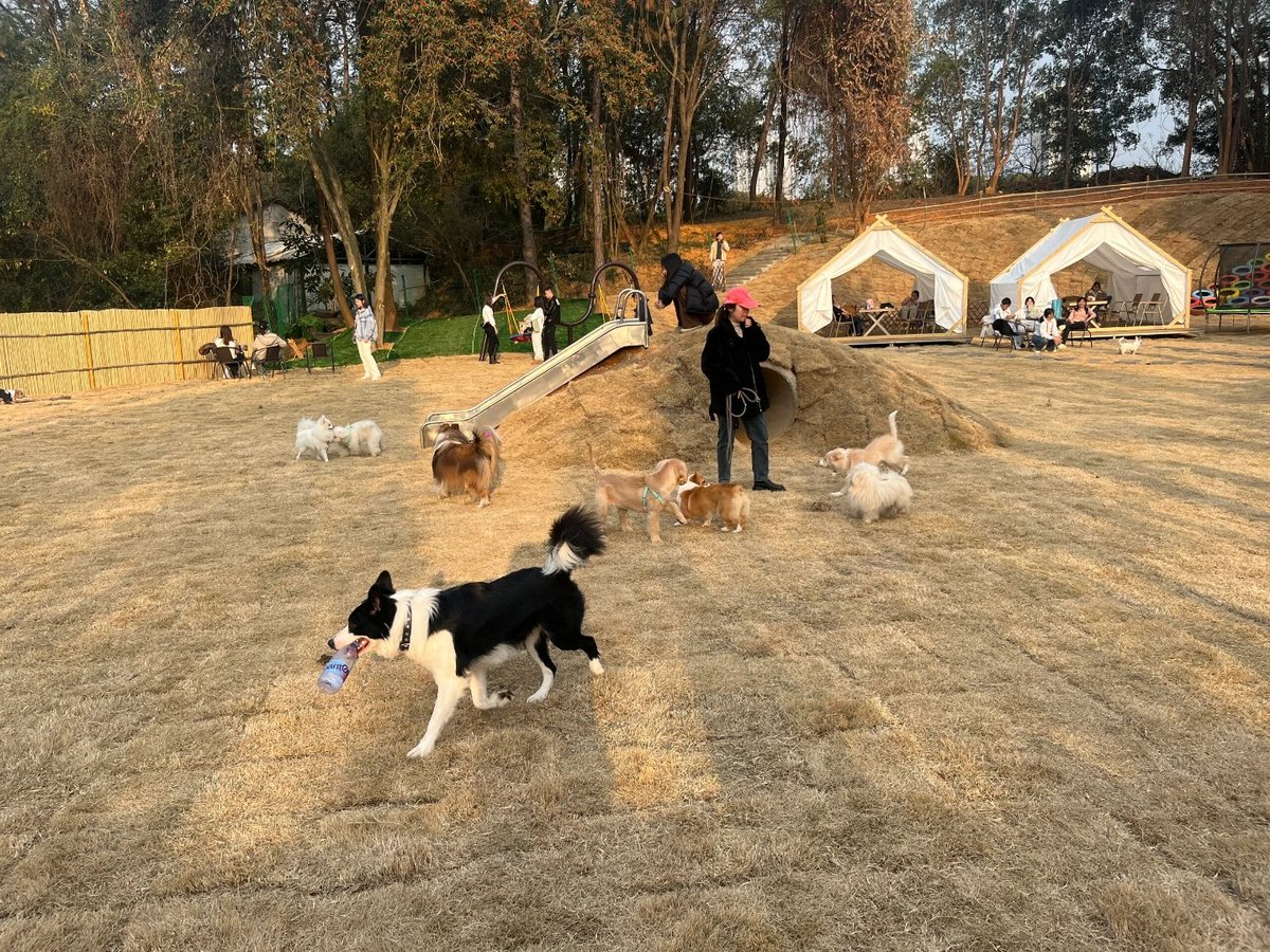 خالد الدوسري tweet media