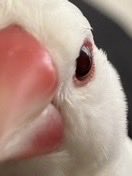 千万太 tweet media