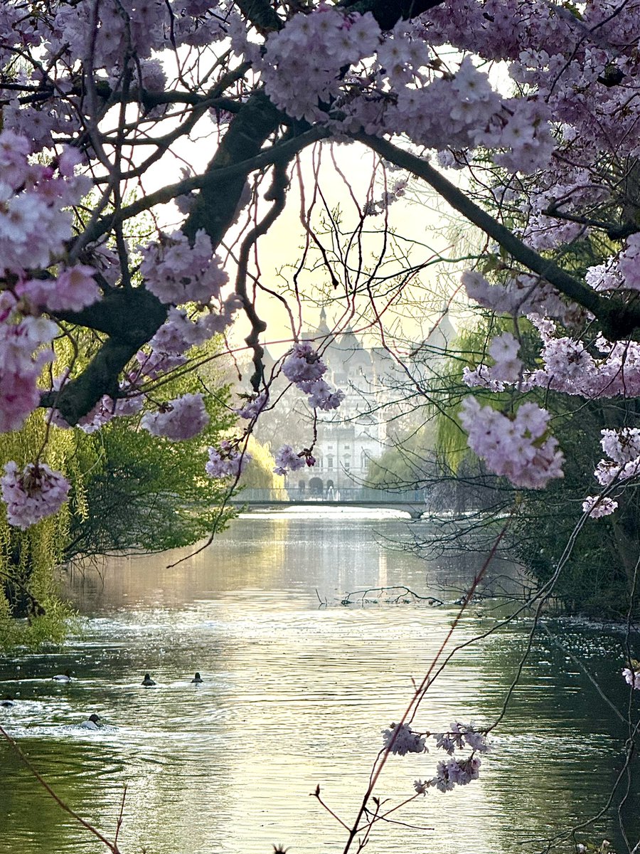 James Montgomery tweet media